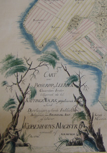 Udsnit af kort over Boserup- og Lerbækgårdenes jorder ..... 1780 (VII 1780)